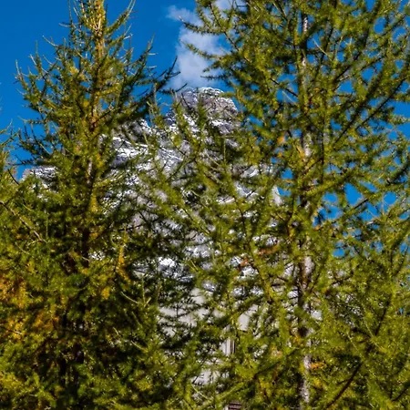 Appartement Hellochalet Le Bois Du Cervin - Matterhorn View, Ski-in Ski-out